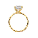 Romance Diamond Hidden Halo Engagement Ring