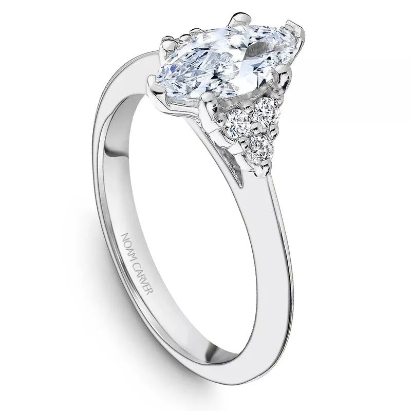 Noam Carver Matching Band - R060-01YM-FCYB