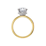 iamond Semi-Mount Hidden Halo Engagement Ring