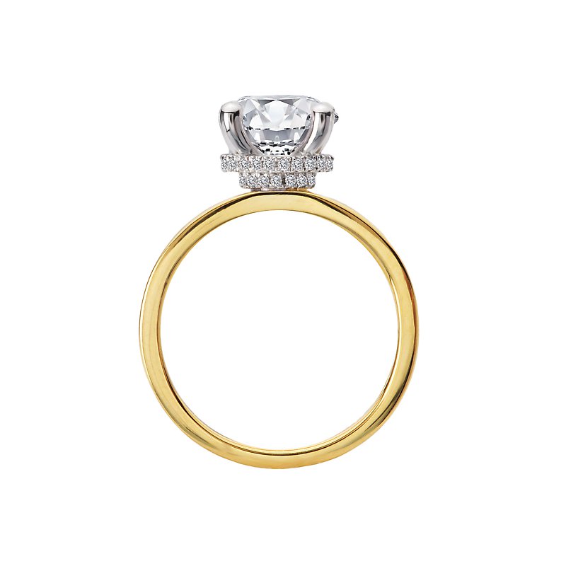 iamond Semi-Mount Hidden Halo Engagement Ring