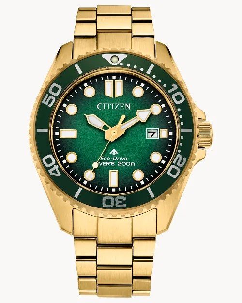 Citizen Promaster Dive