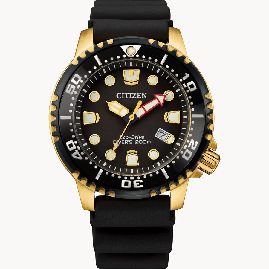 Promaster Diver