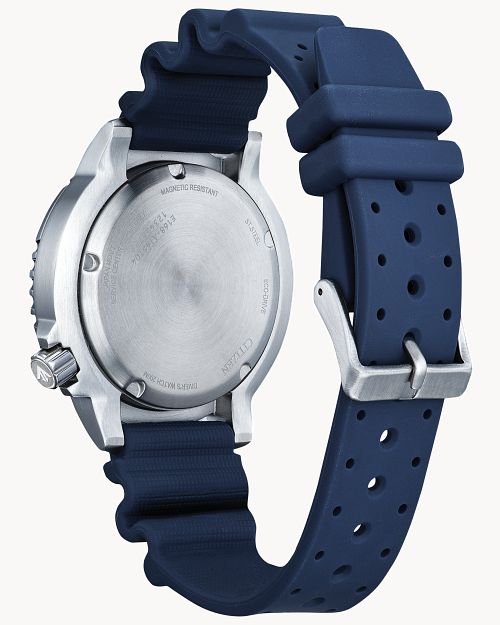 PROMASTER DIVE