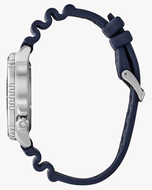 PROMASTER DIVE