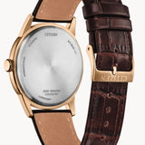 Citizen Watch Rolan AW2113-16X