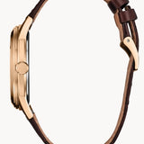 Citizen Watch Rolan AW2113-16X