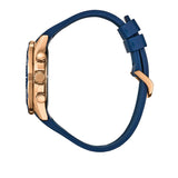 Citizen Endeavor Chrono CA4733-00L