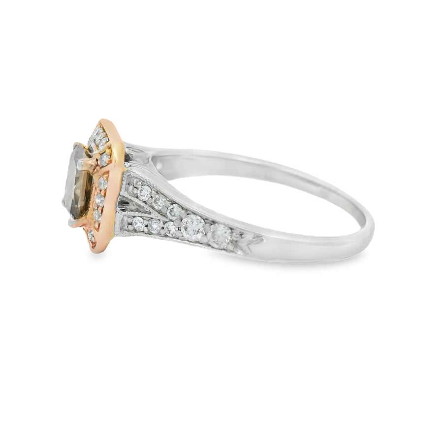 GIA Chochlate Diamond Halo Two Toned Engagement Ring