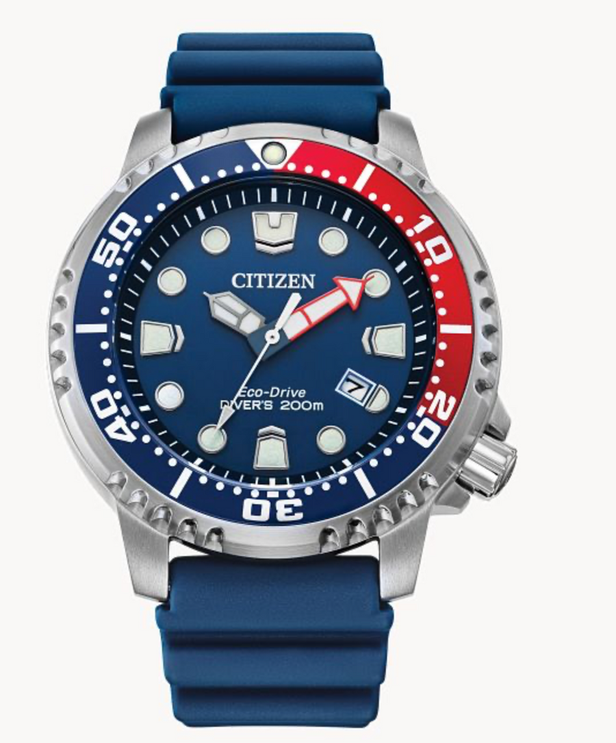 PROMASTER DIVE