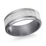 Tantalum Band With Meteorite Inlay