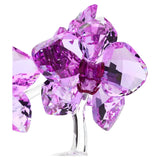 Swarovski Crystal Flowers Orchid Figurine 5520373 – Pink & Purple Crystal Sculpture