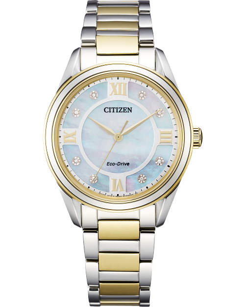 Citizen Arezzo
