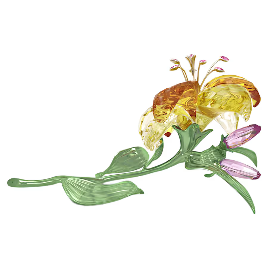Florere Lily