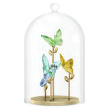 Swarovski 5619219 Jungle Beats Butterfly Bell Jar – Multicolor Crystal Figurine, Glass Dome Display
