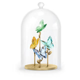 Swarovski 5619219 Jungle Beats Butterfly Bell Jar – Multicolor Crystal Figurine, Glass Dome Display