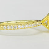 Noam Carver - Premium Classic Diamond Accented Solitare Setting