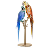 Swarovski Jungle Beats Parrot Couple Bell & Brio  Model: 5619218